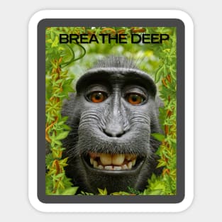 Breathe deep with chillin gorilla! Sticker